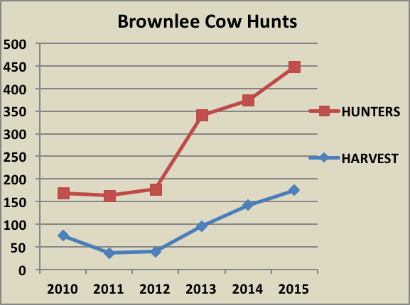 brownlee-cow-hunts-2.png