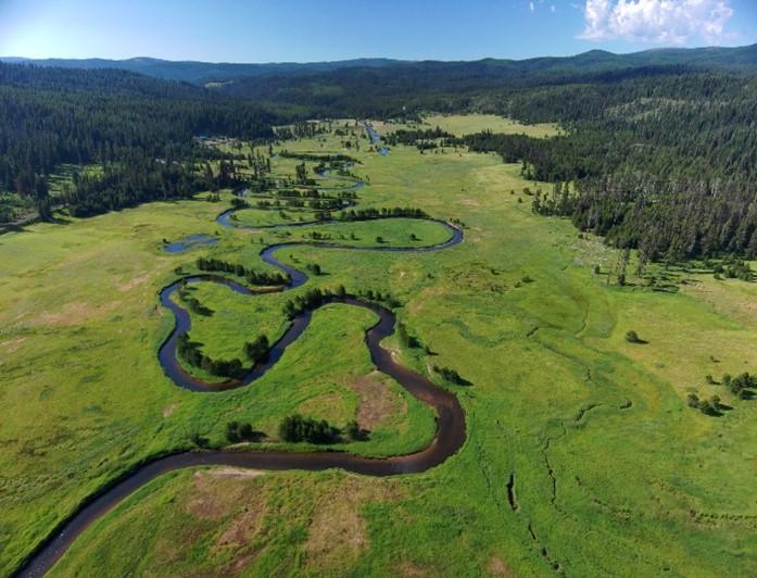 Red River burn