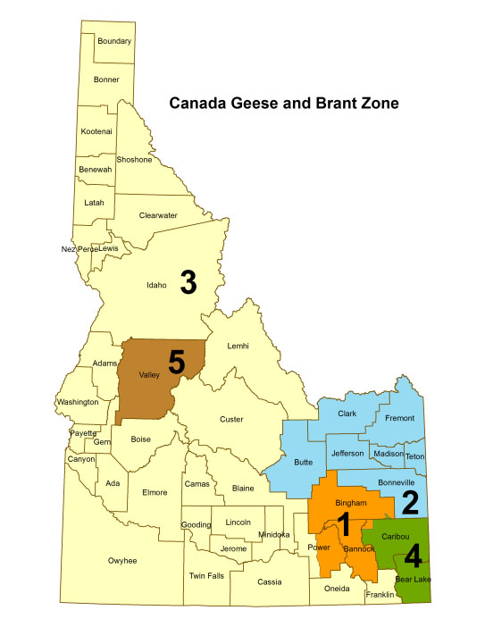 Canada geese zones, 2017