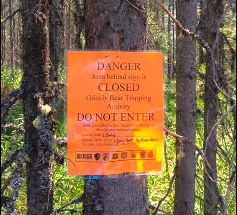 Do Not Enter sign tacked to a tree in the forest