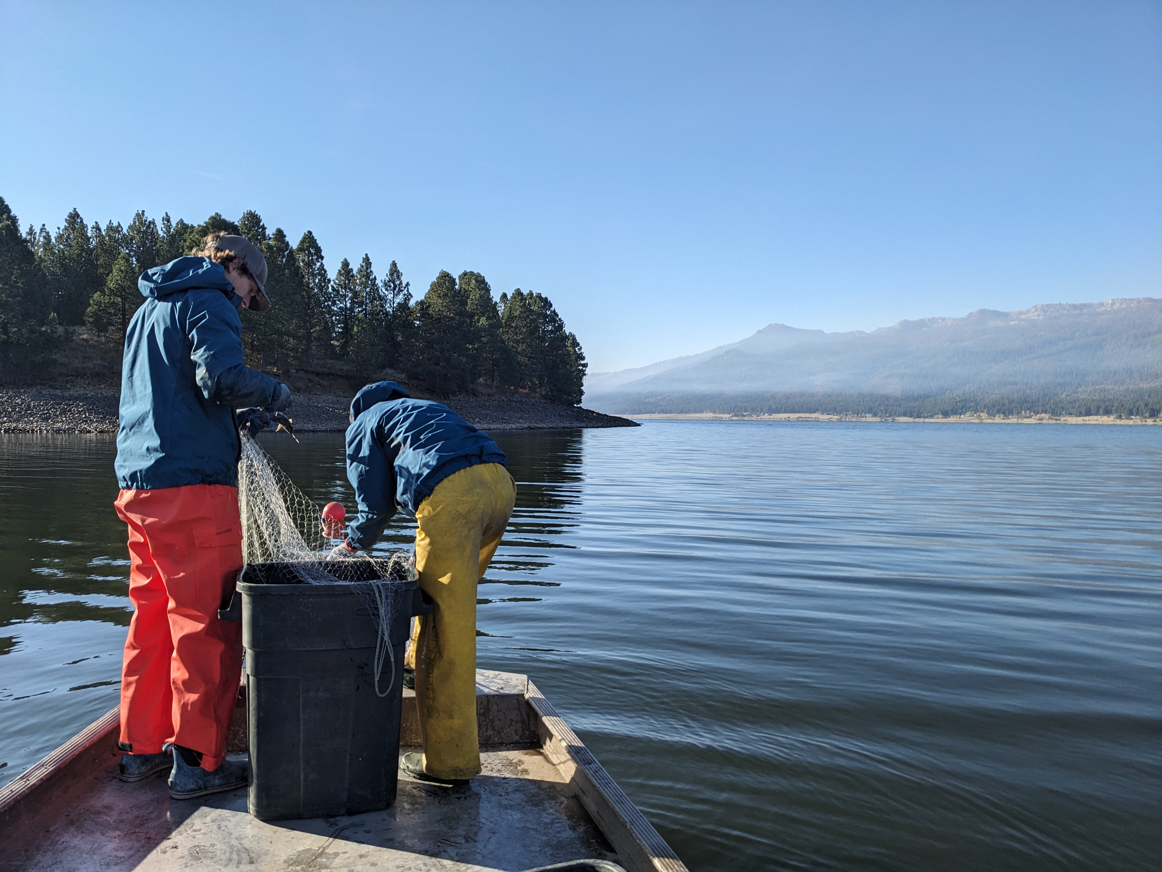 Lake Cascade Gill Net