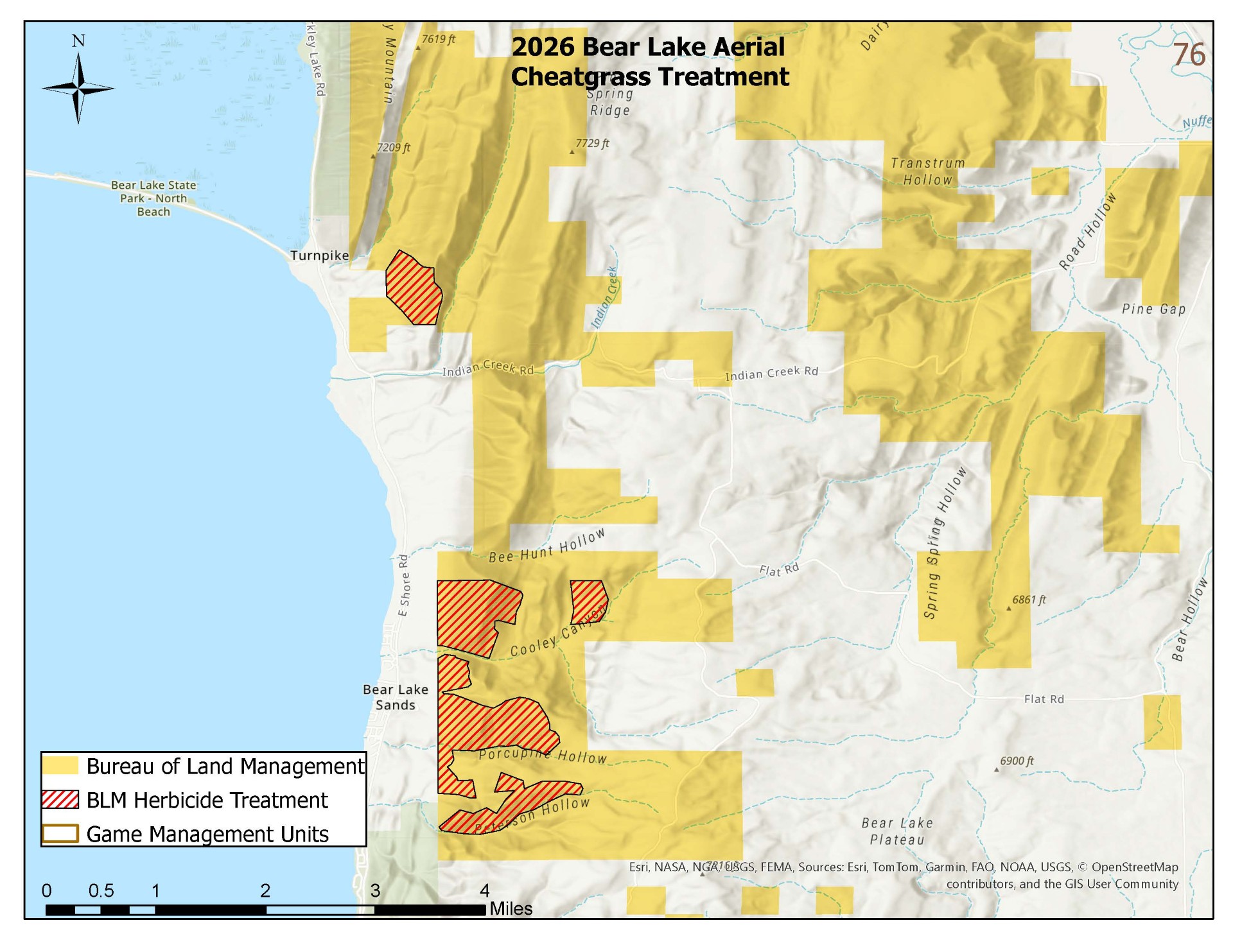 2026 Bear Lake aerial cheatgrass treatment map.