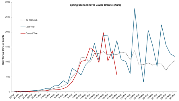 Chart: Spring Chinook over lower Granite (2026)