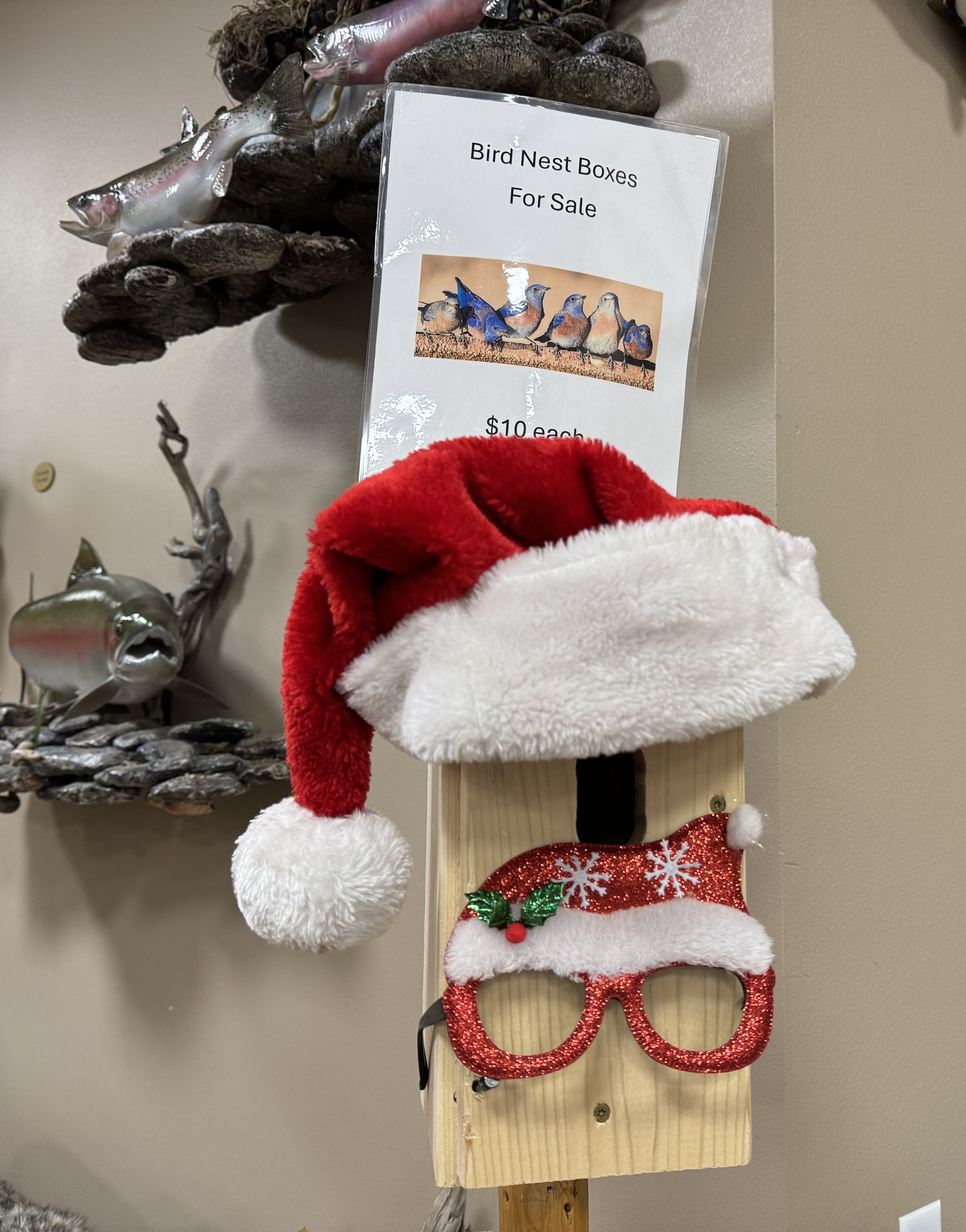 Christmas bird box sale