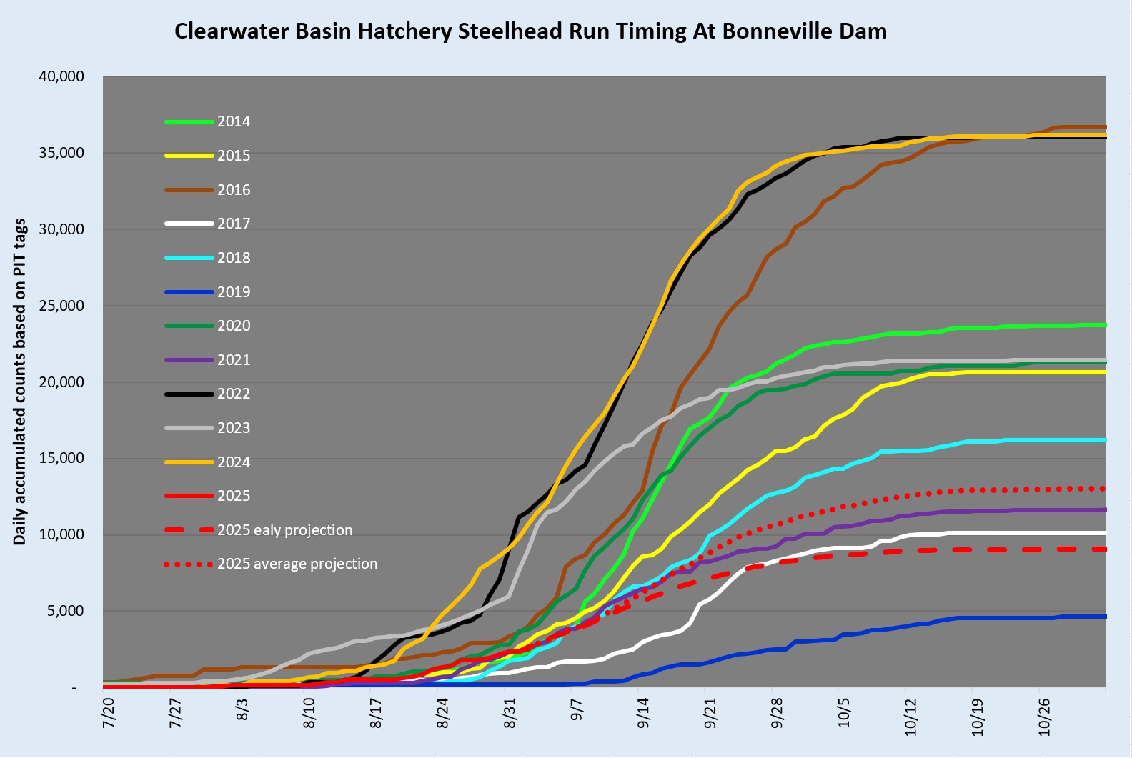 run timing of Clearwater steelhead over Bonneville Dam