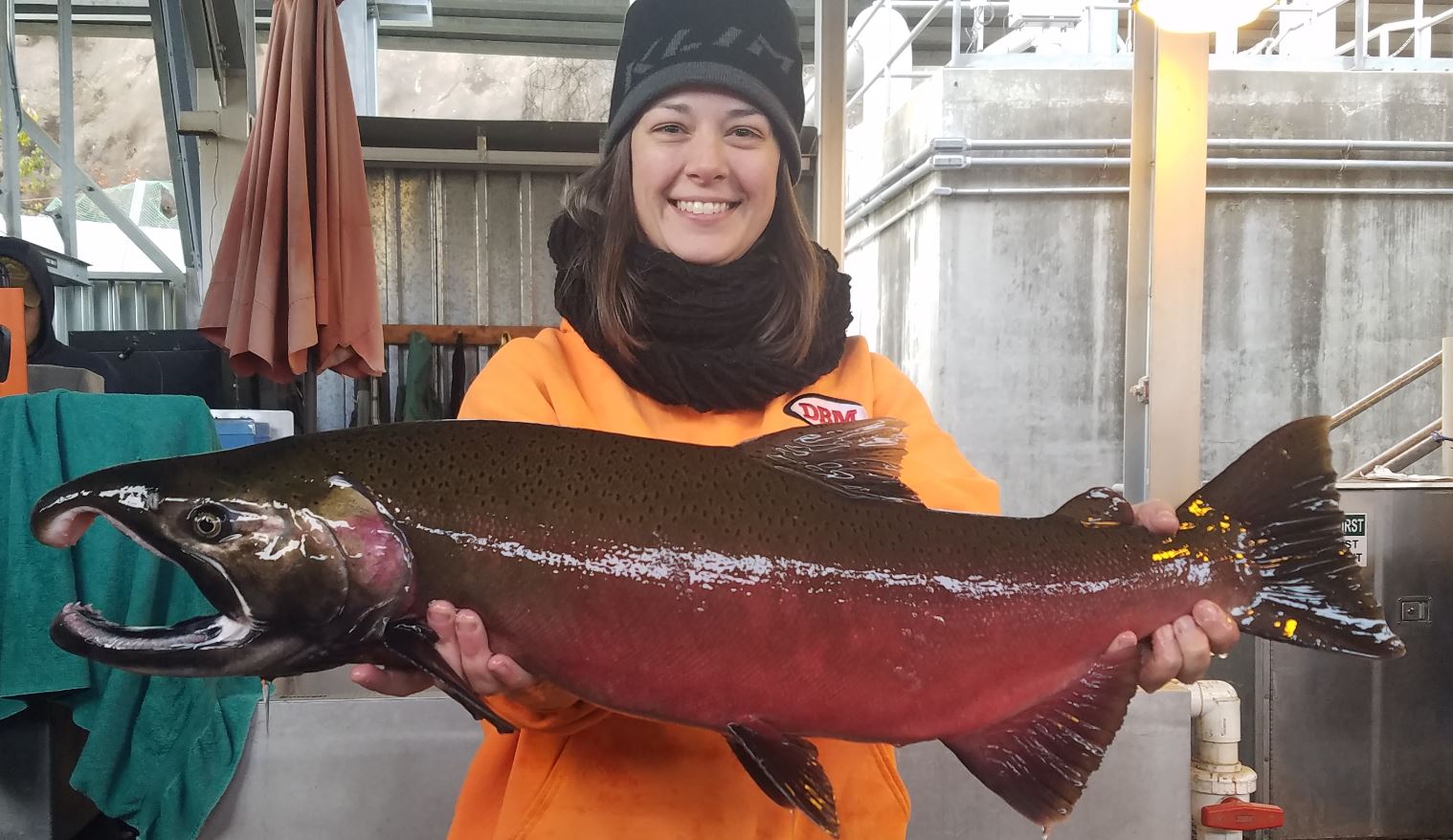 Coho Salmon  Cascade Fishing Adventures