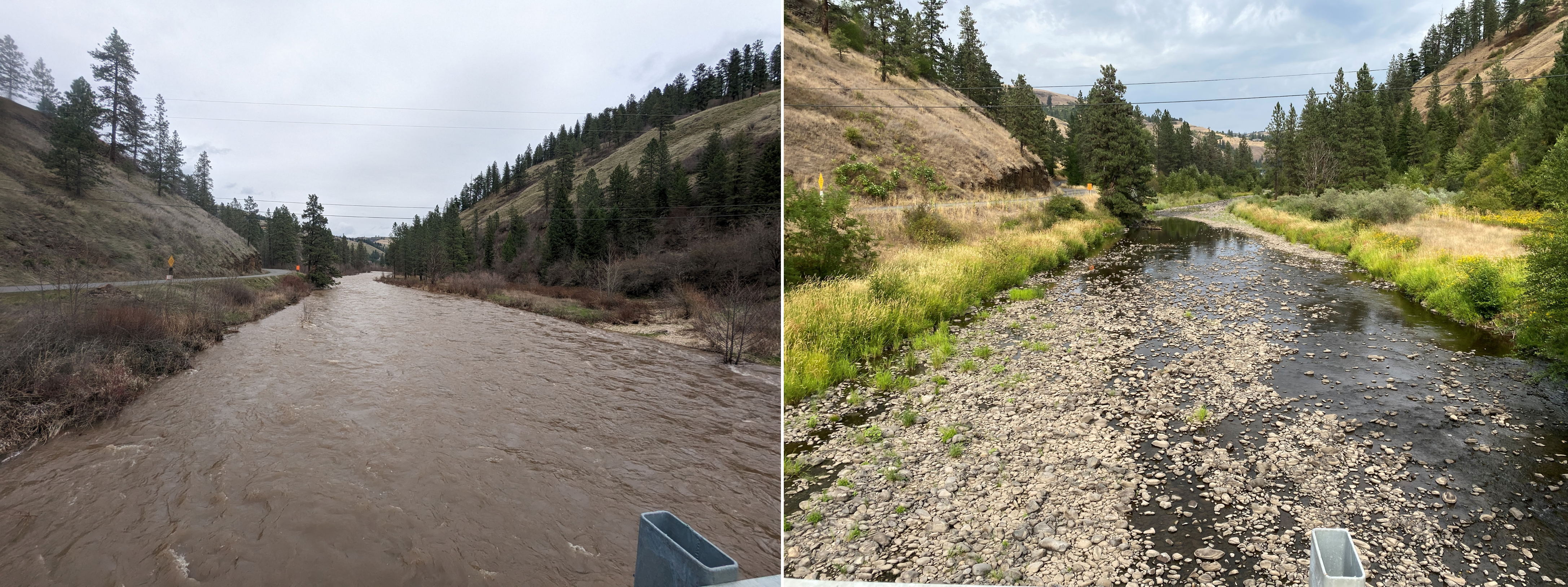 Flow conditions in Potlatch River