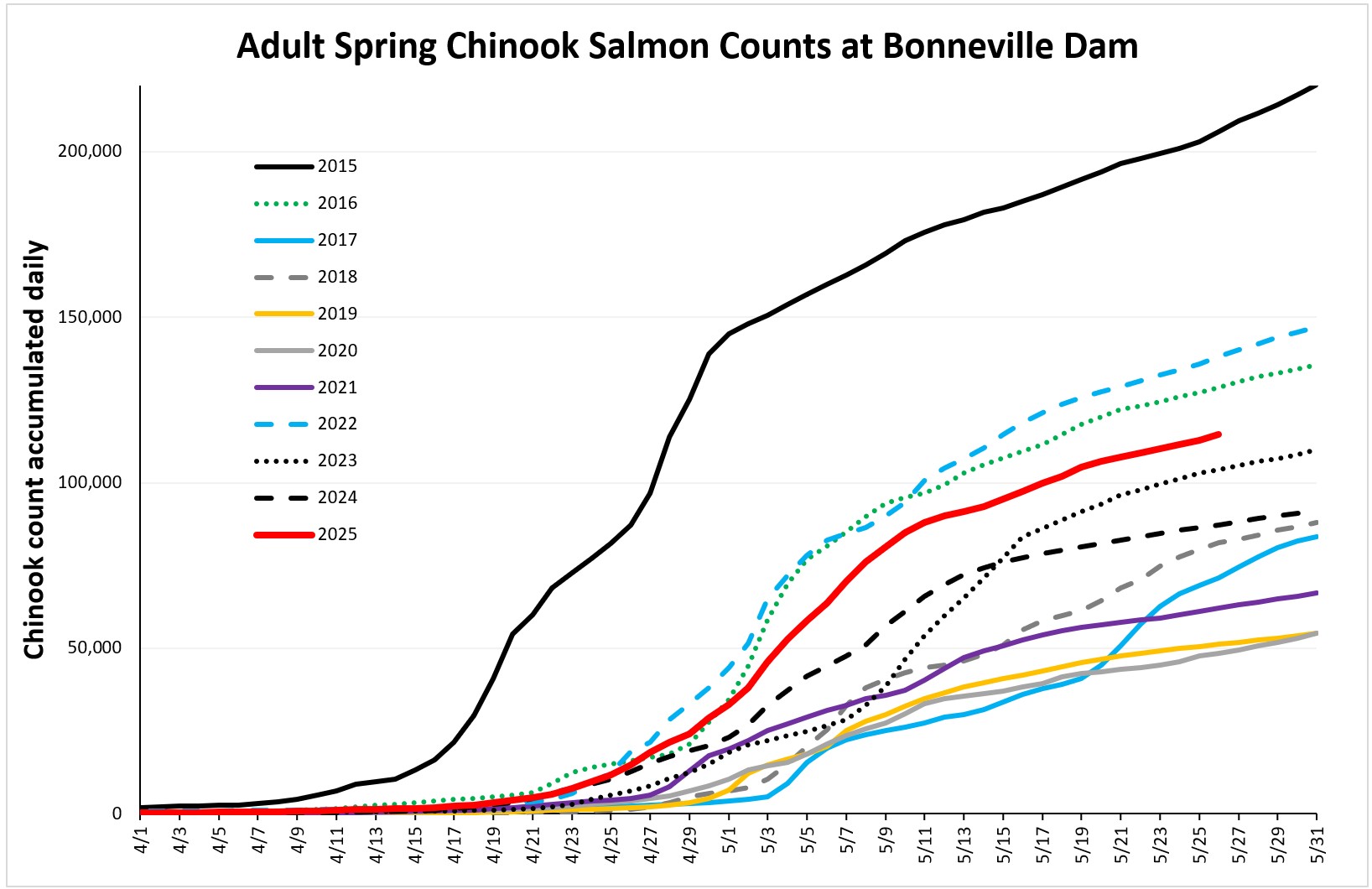 Cumulative chinook counts at Bonneville 5-26-25
