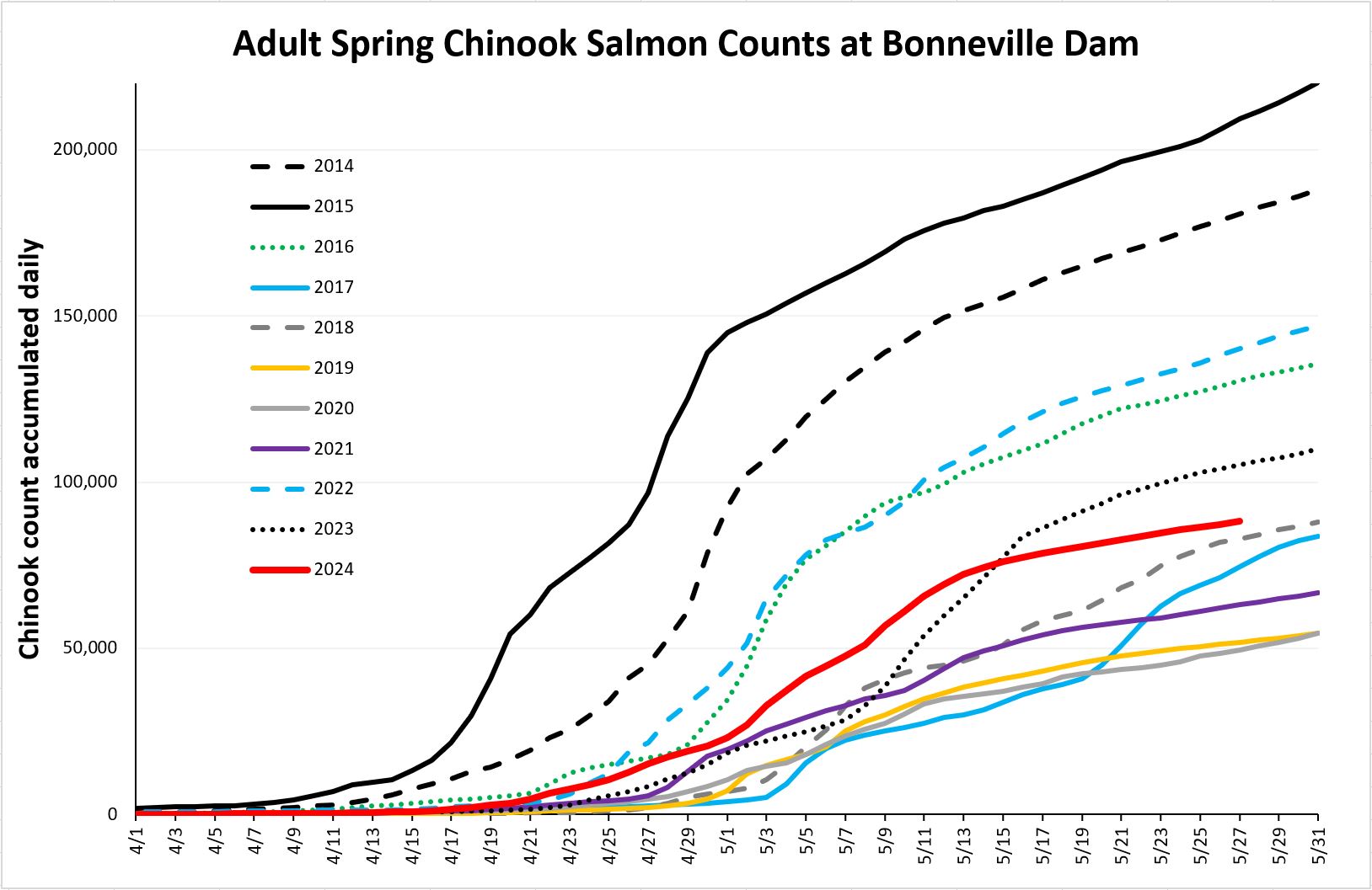 Cumulative chinook counts at Bonneville 5-28-24