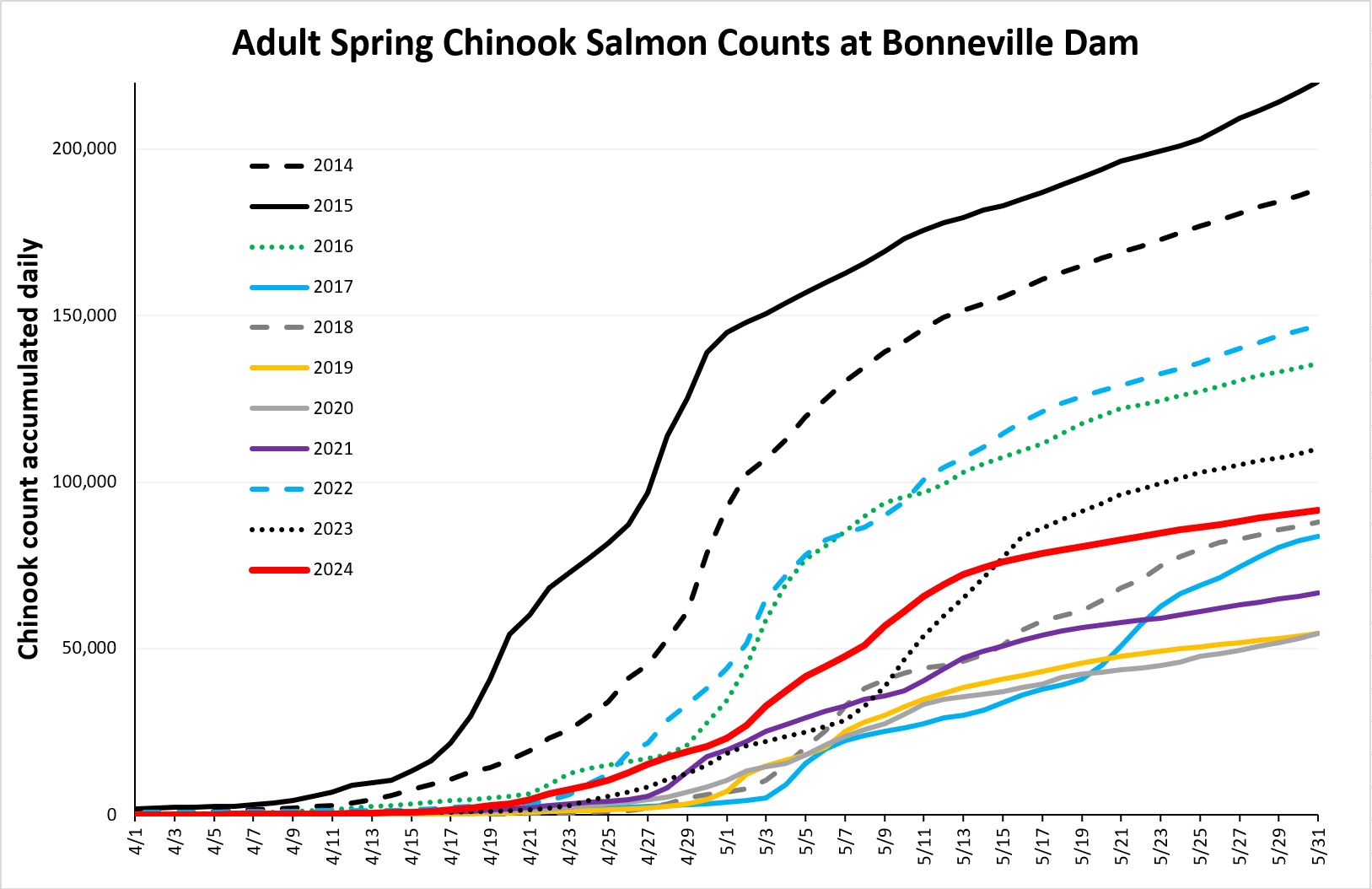 Cumulative chinook counts at Bonneville 6-3-24