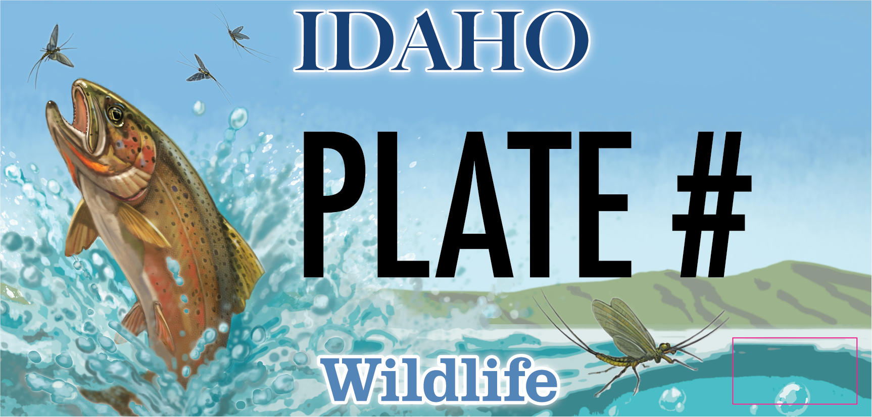 2024 Cutthroat Trout License Plate