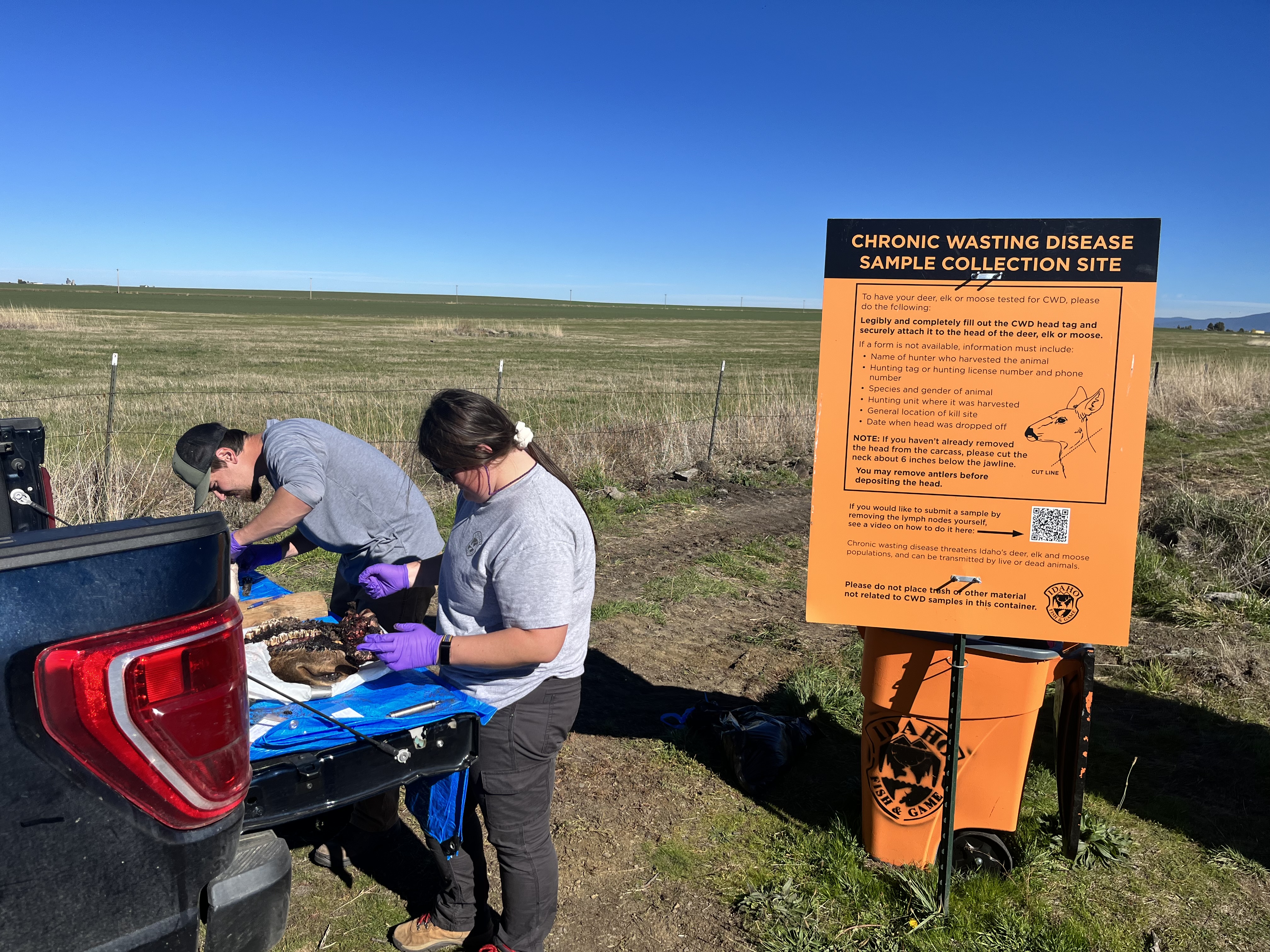 CWD head barrels sampling