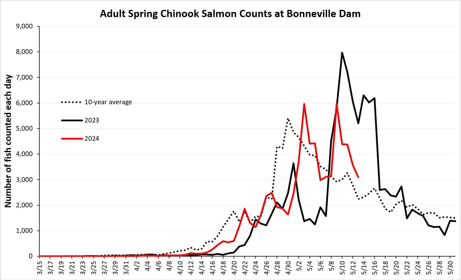 Daily Chinook Salmon counts at Bonneville Dam 5-14-24