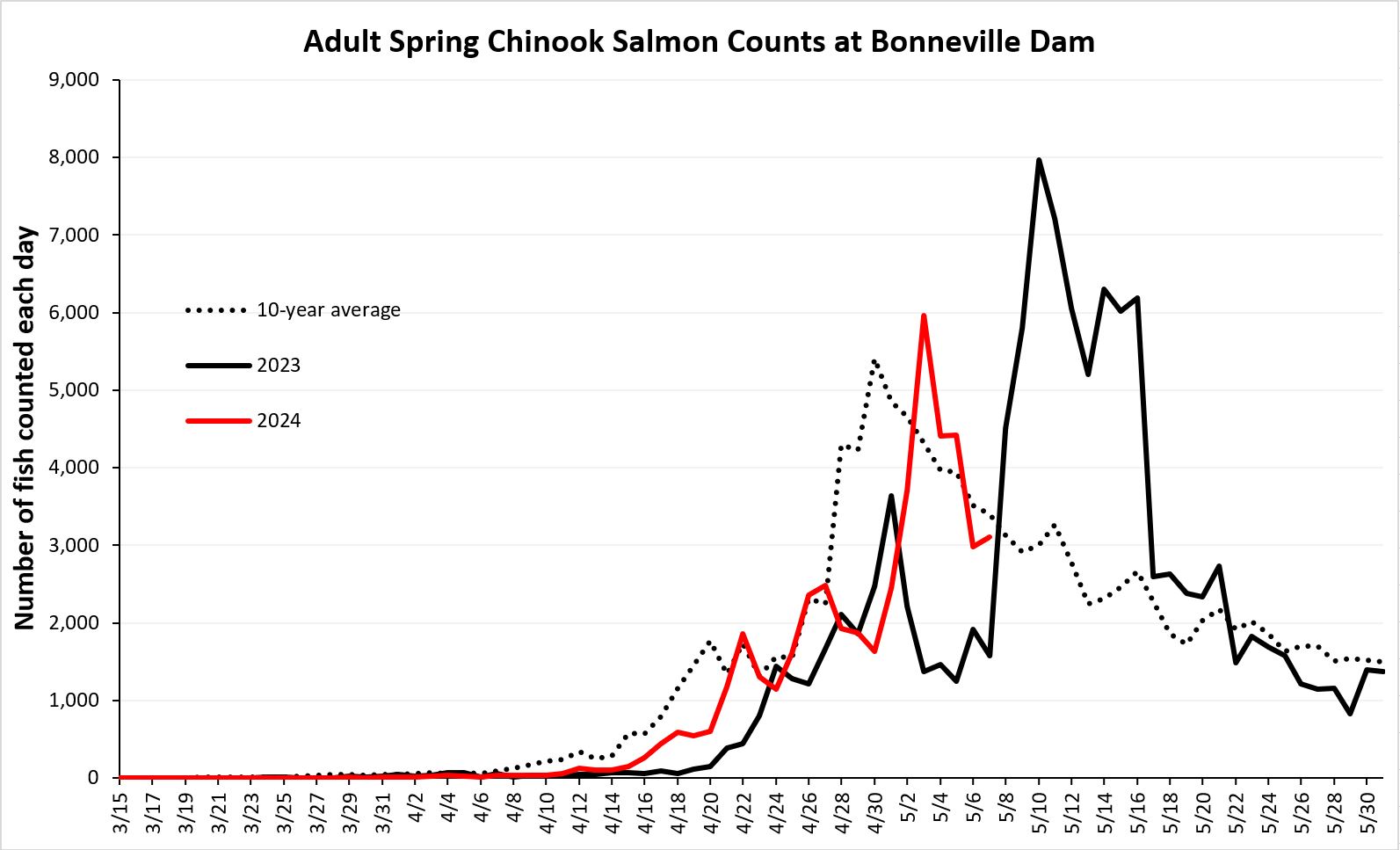 daily chinook counts at bonneville 5-8-24