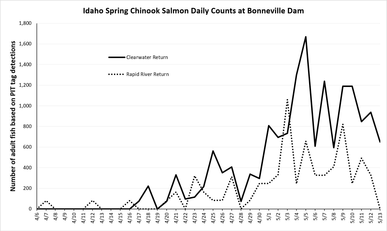 Daily counts of Idaho bound Chinook based on PIT tags