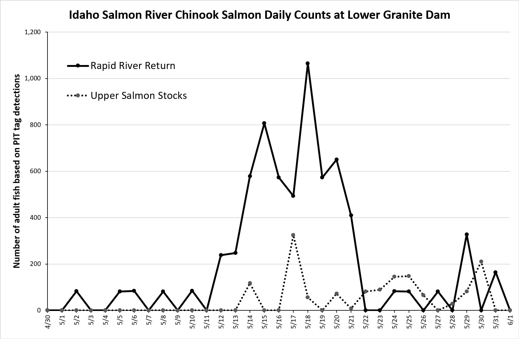 daily chinook counts at LGR based on PIT tags 6-3-24