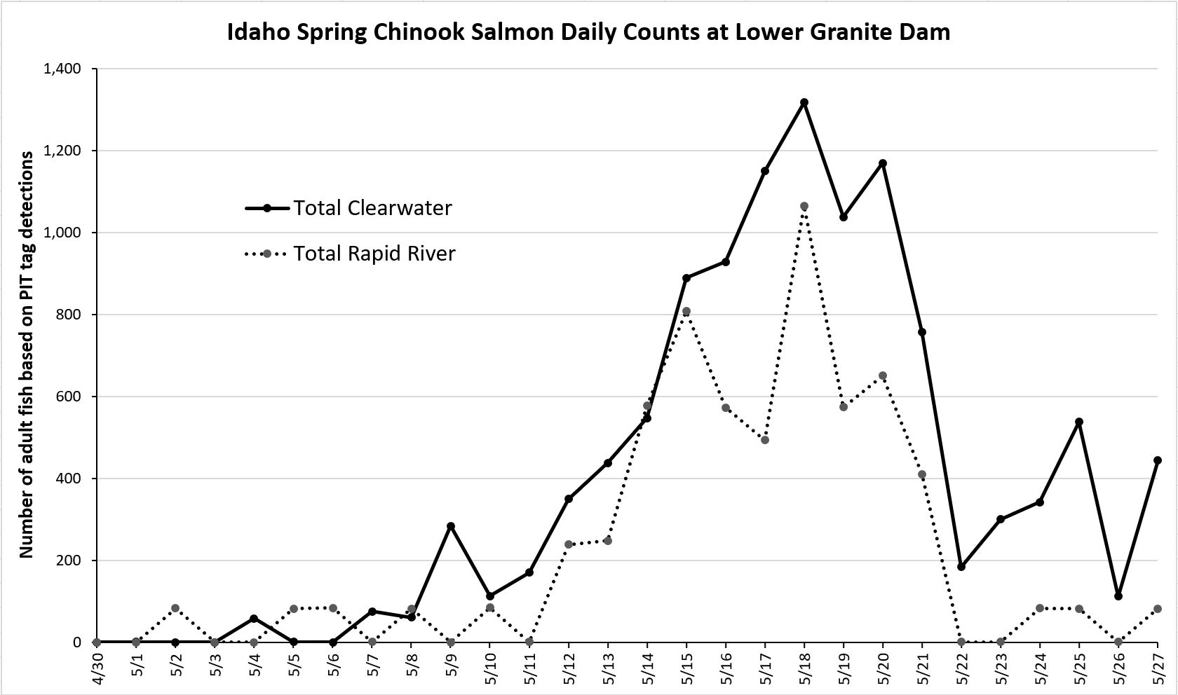 daily chinook counts at LGR based on PIT tags 5-28-24