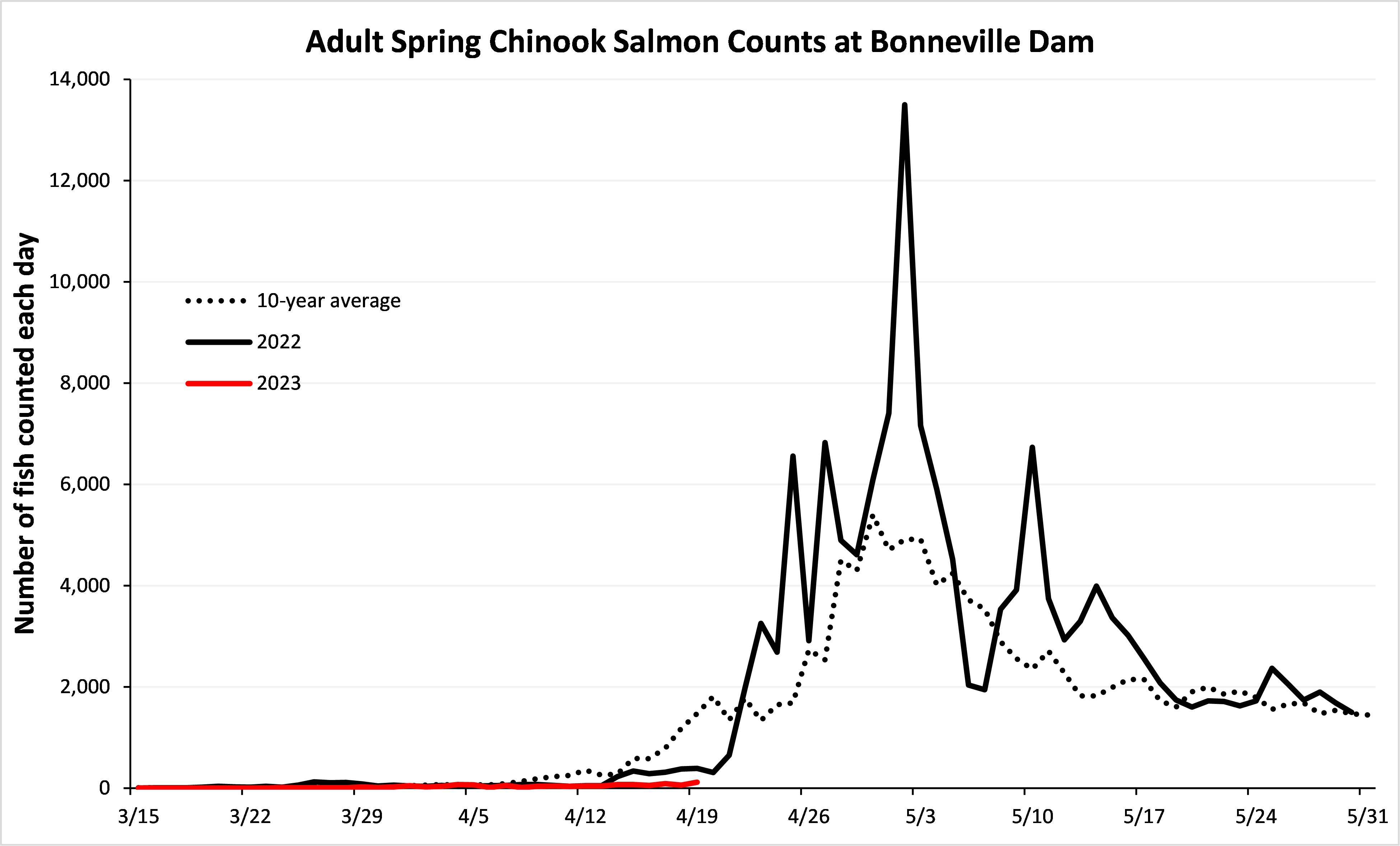 daily chinook counts at bonneville