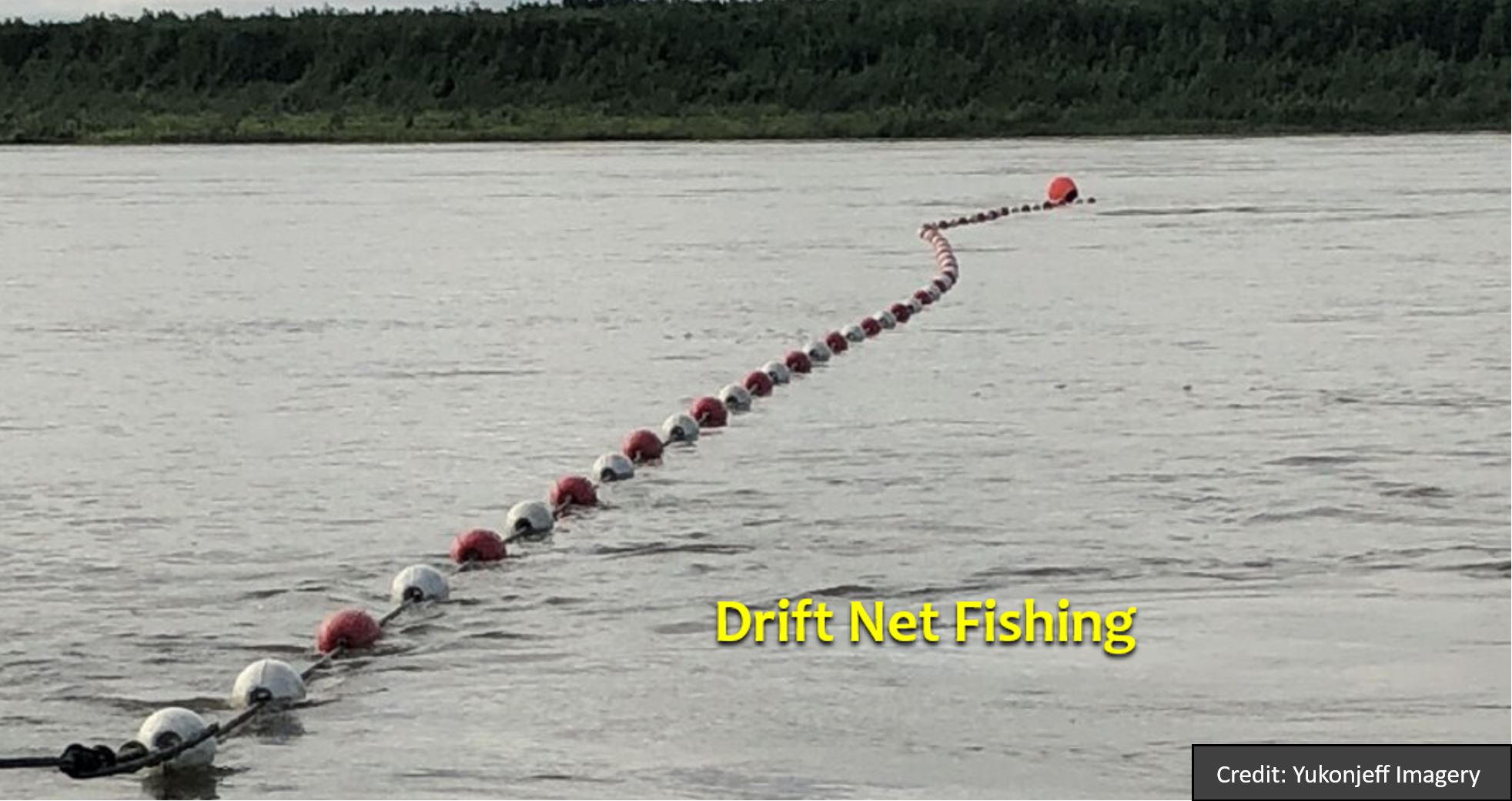 Drift netting