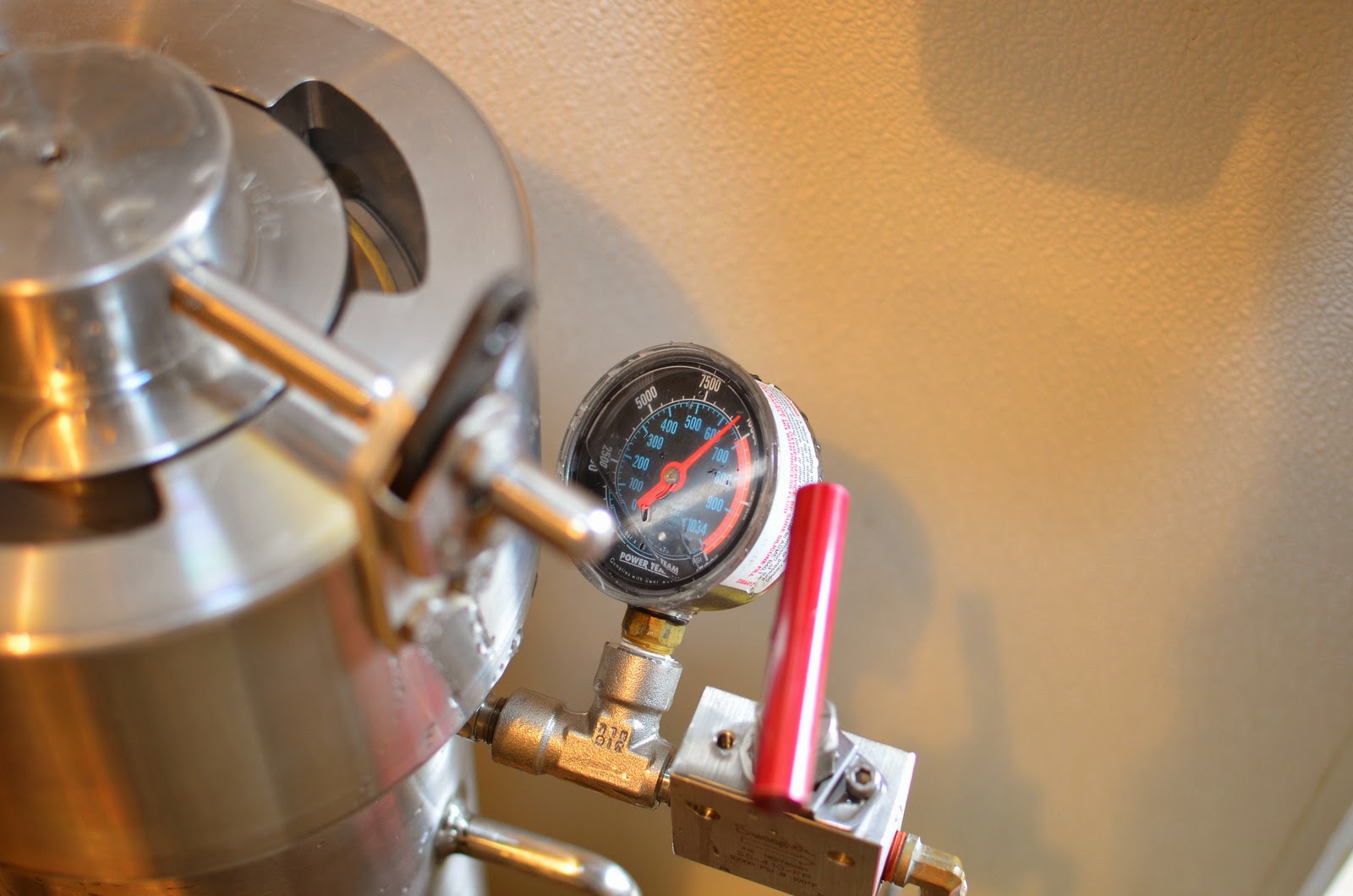 Pressure chamber for triploid fish eggs