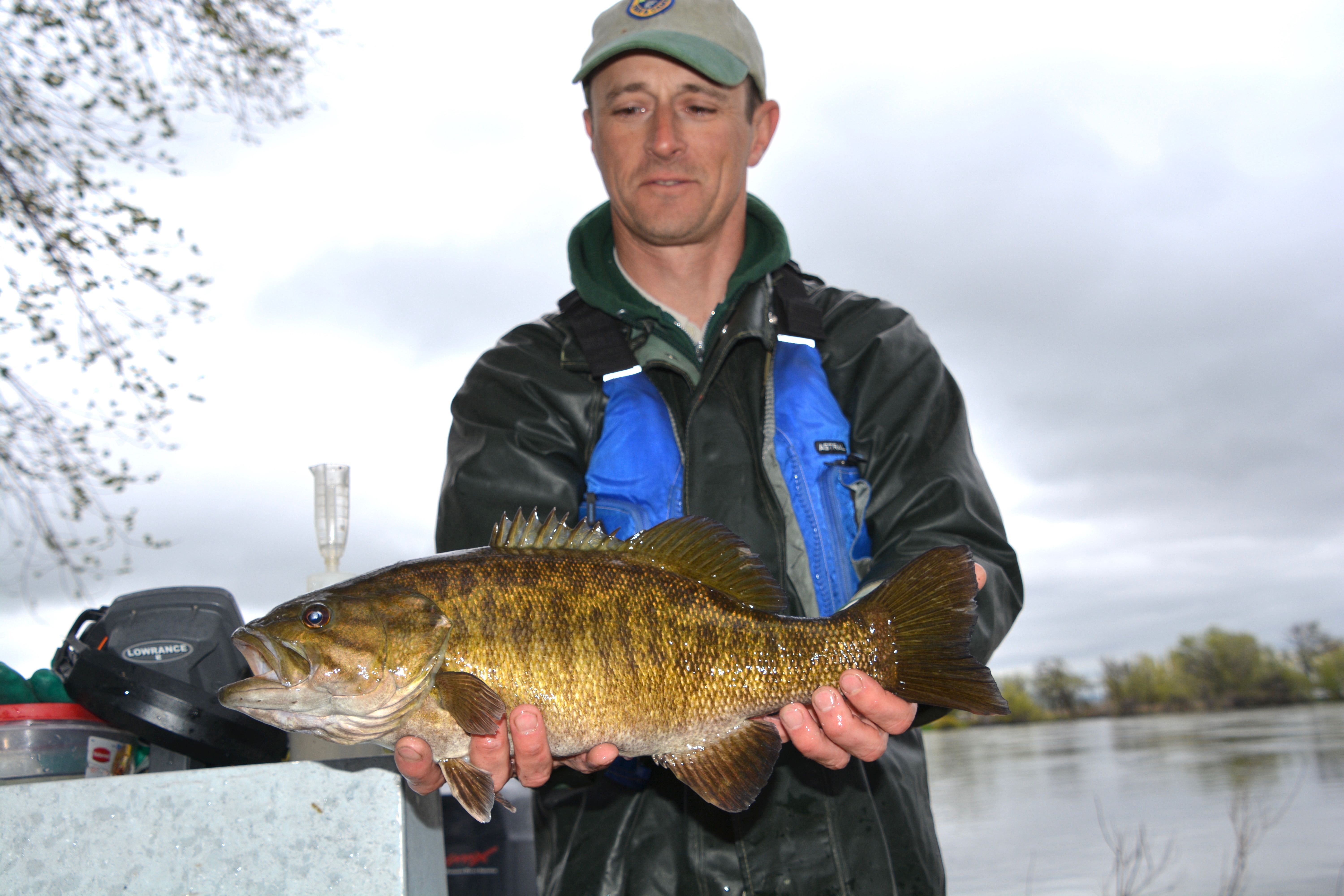 Smallmouth Bass, Snake River, Southwest Region