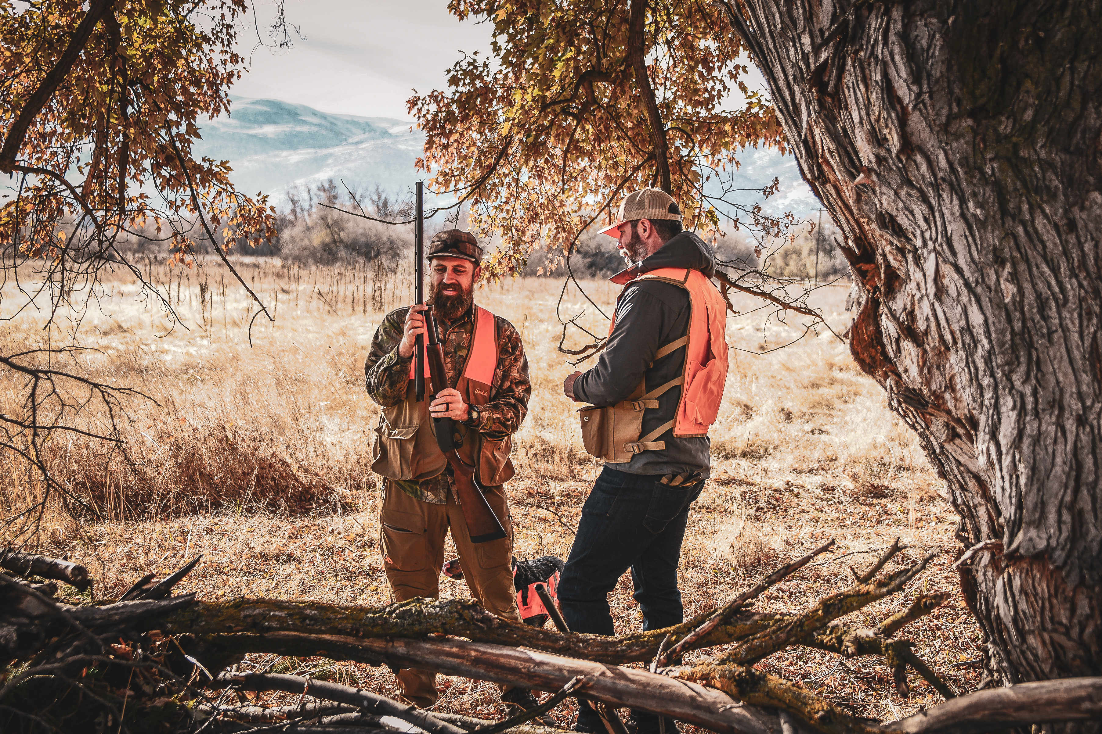 upland bird hunter taking apart shotgun in the field