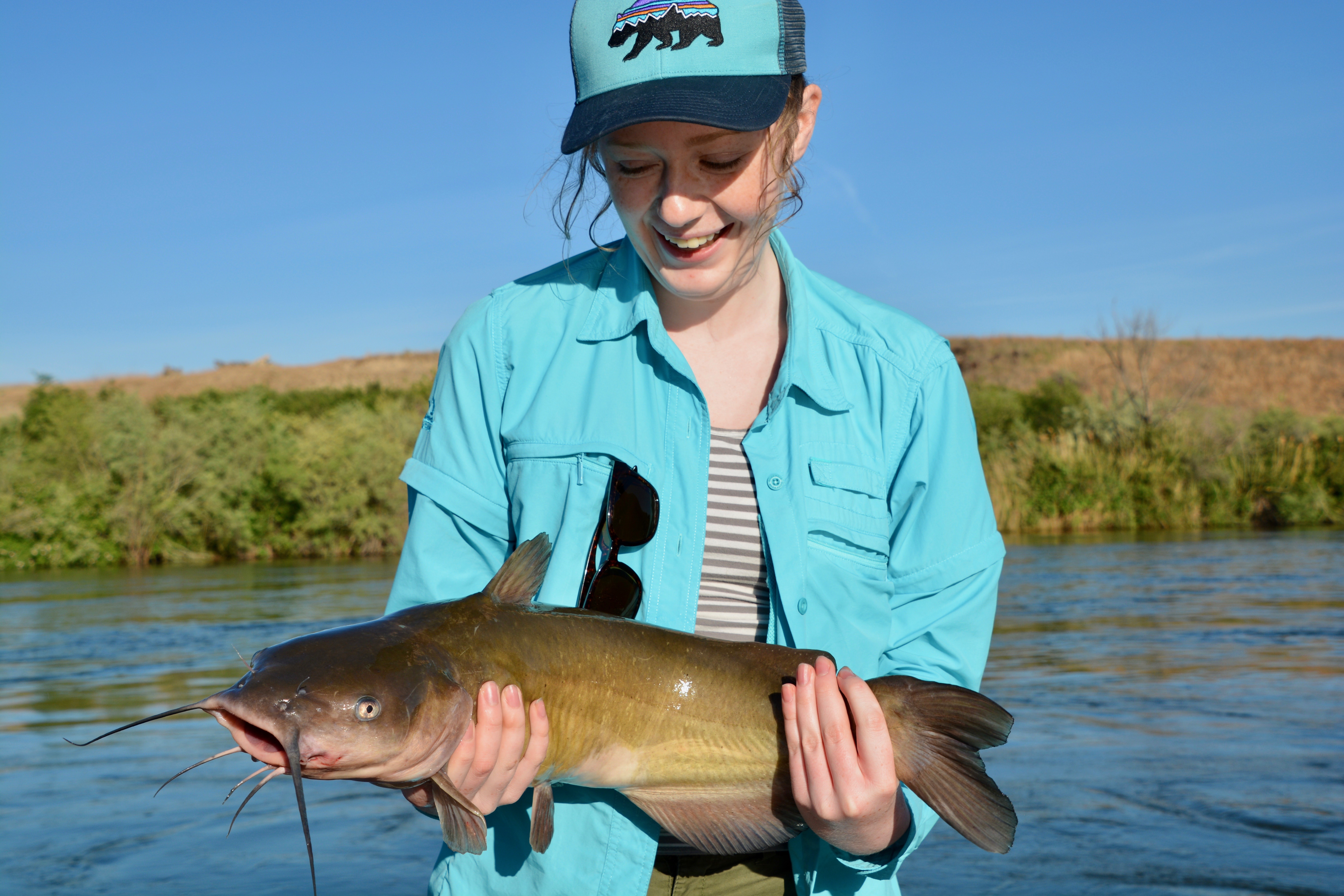 Big fish, big fun: catfish are the Snake River's overlooked bounty