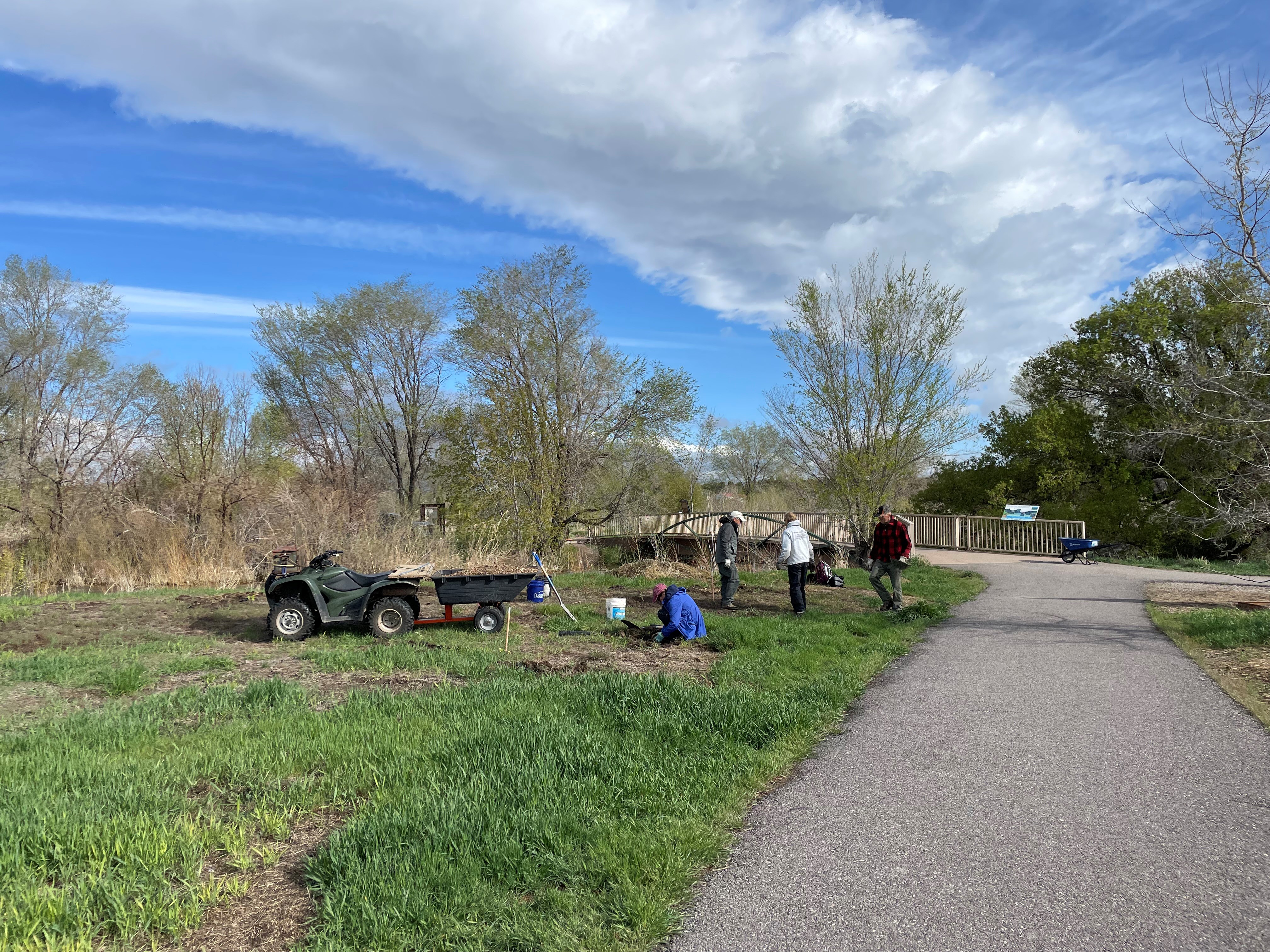 Volunteers planting vegetation next to a paved trail at the Edson Fichter Nature Area.