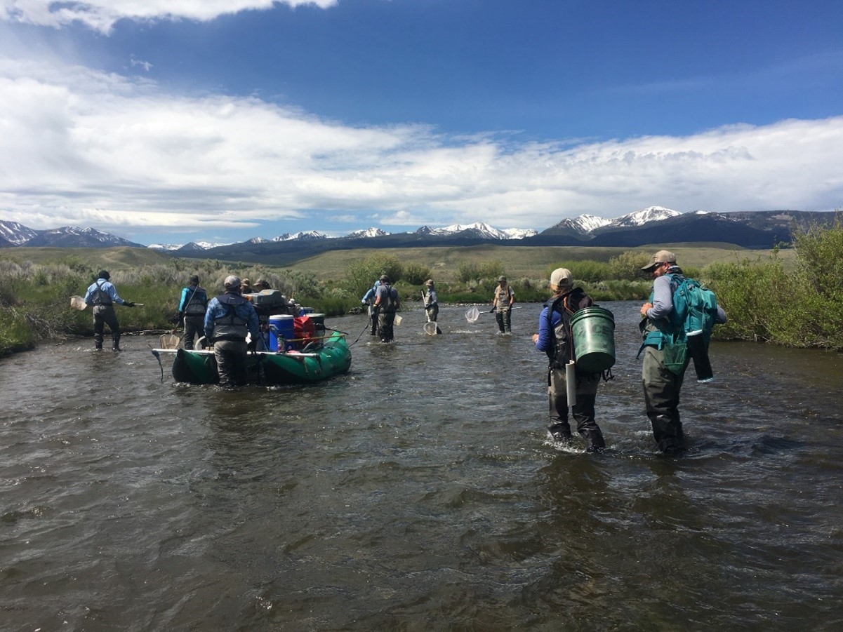A group of fisheries staff electrofishing with backpacks and a raft.