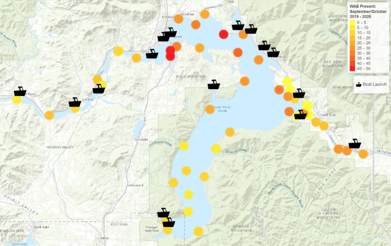 Fall 2026 walleye locations in Lake Pend Oreille