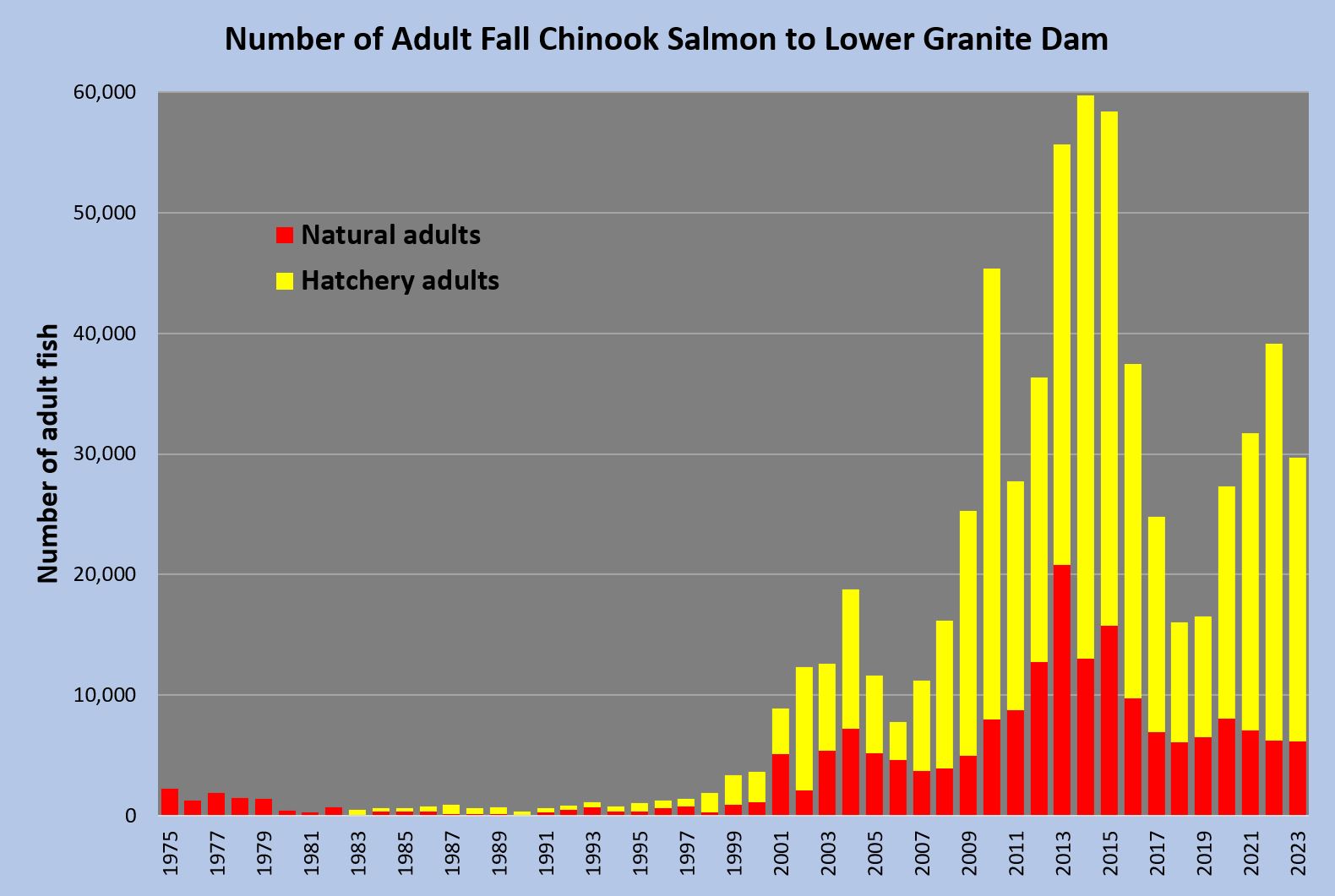 Lower Granite Fall Chinook counts 1975-2023
