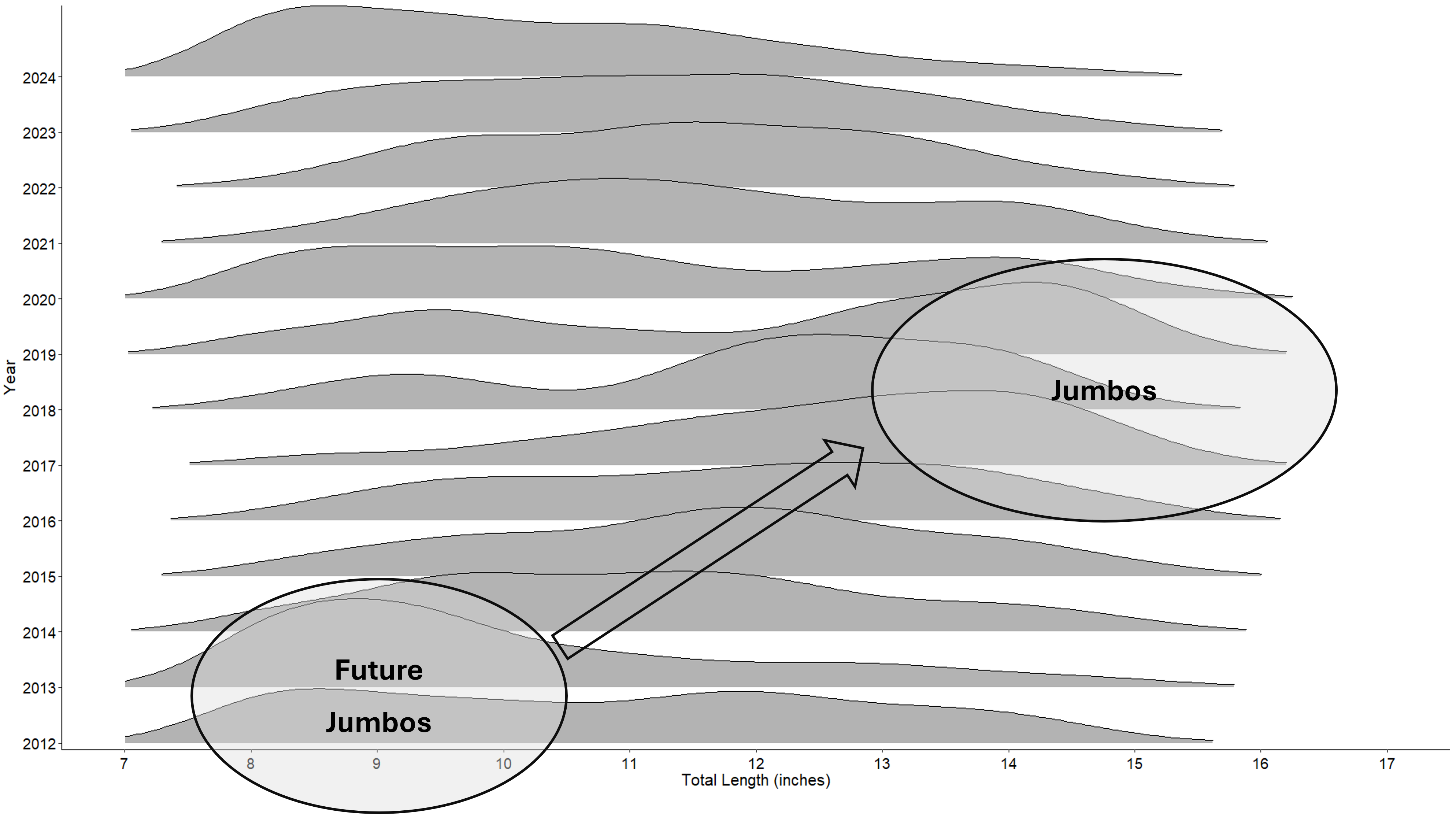 Lake Cascade Yellow Perch Length Plot