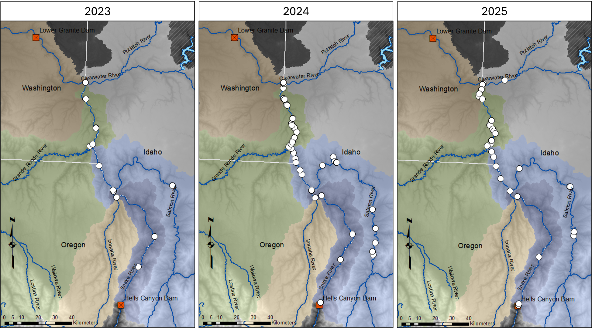 Location of walleye caught in the Clearwater Region and reported to IDFG (2023-20255).