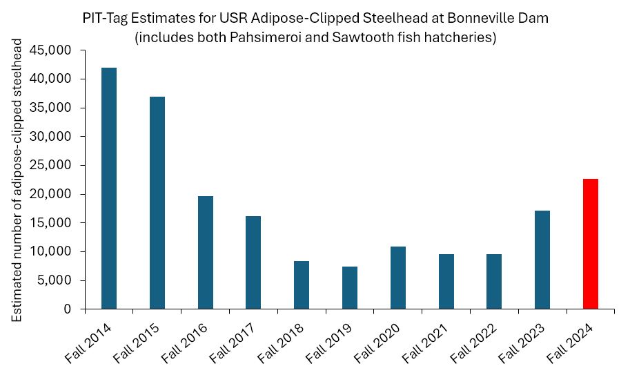 USR Bonn PIT est Fall 2014 - 2024