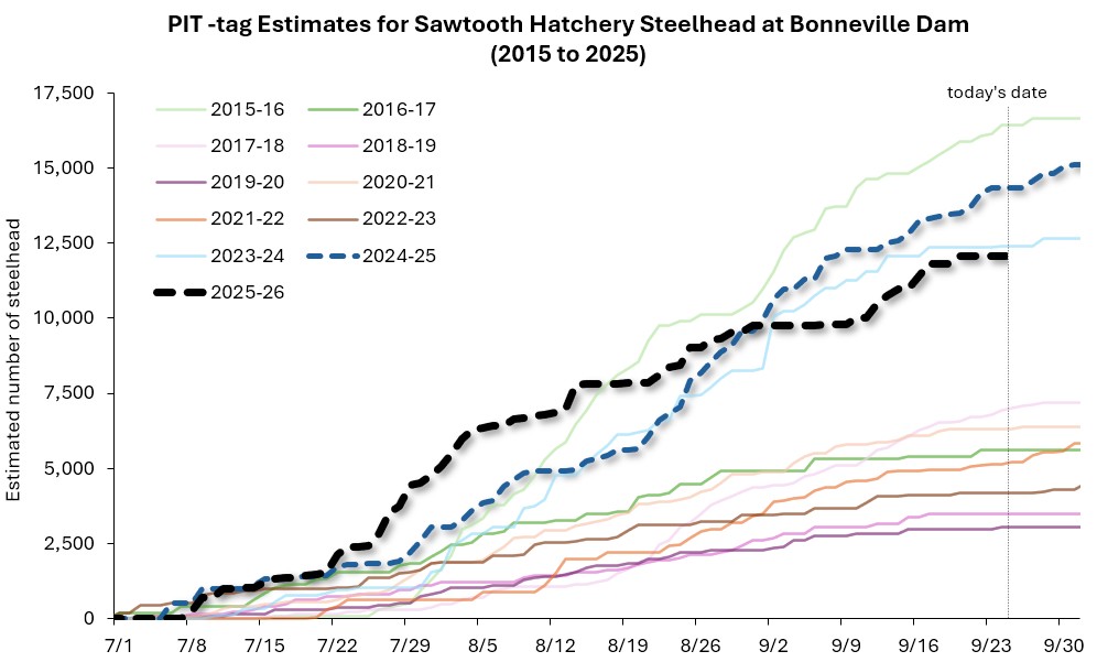 Fall 25 - Sawt FH cumulative returns at Bonn