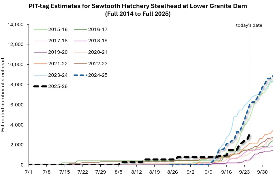 Fall 25 - Sawt FH cumulative returns at LGR