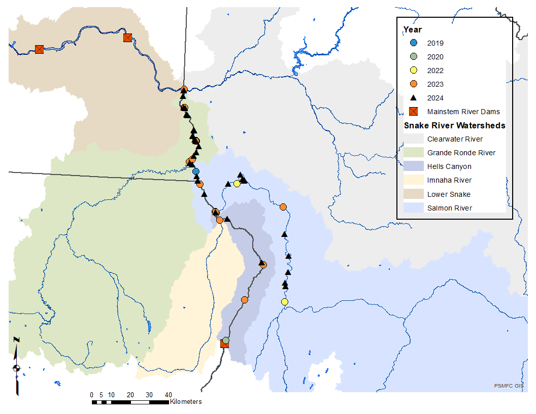 Map of Snake River watersheds showing where anglers caught walleye