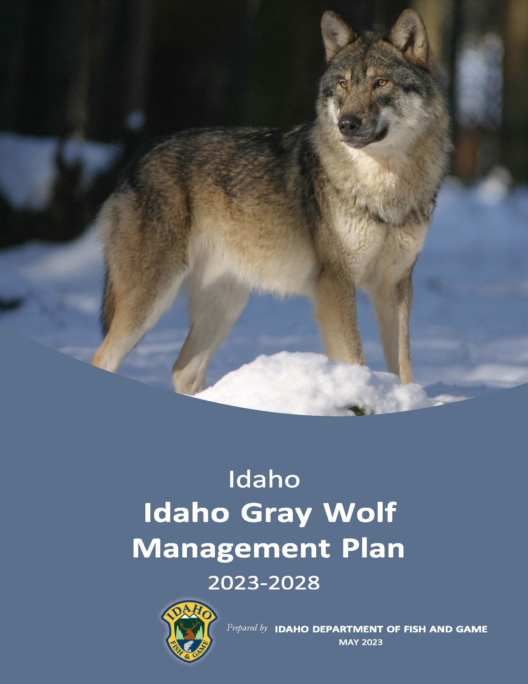 Draft Gray Wolf Plan Cover