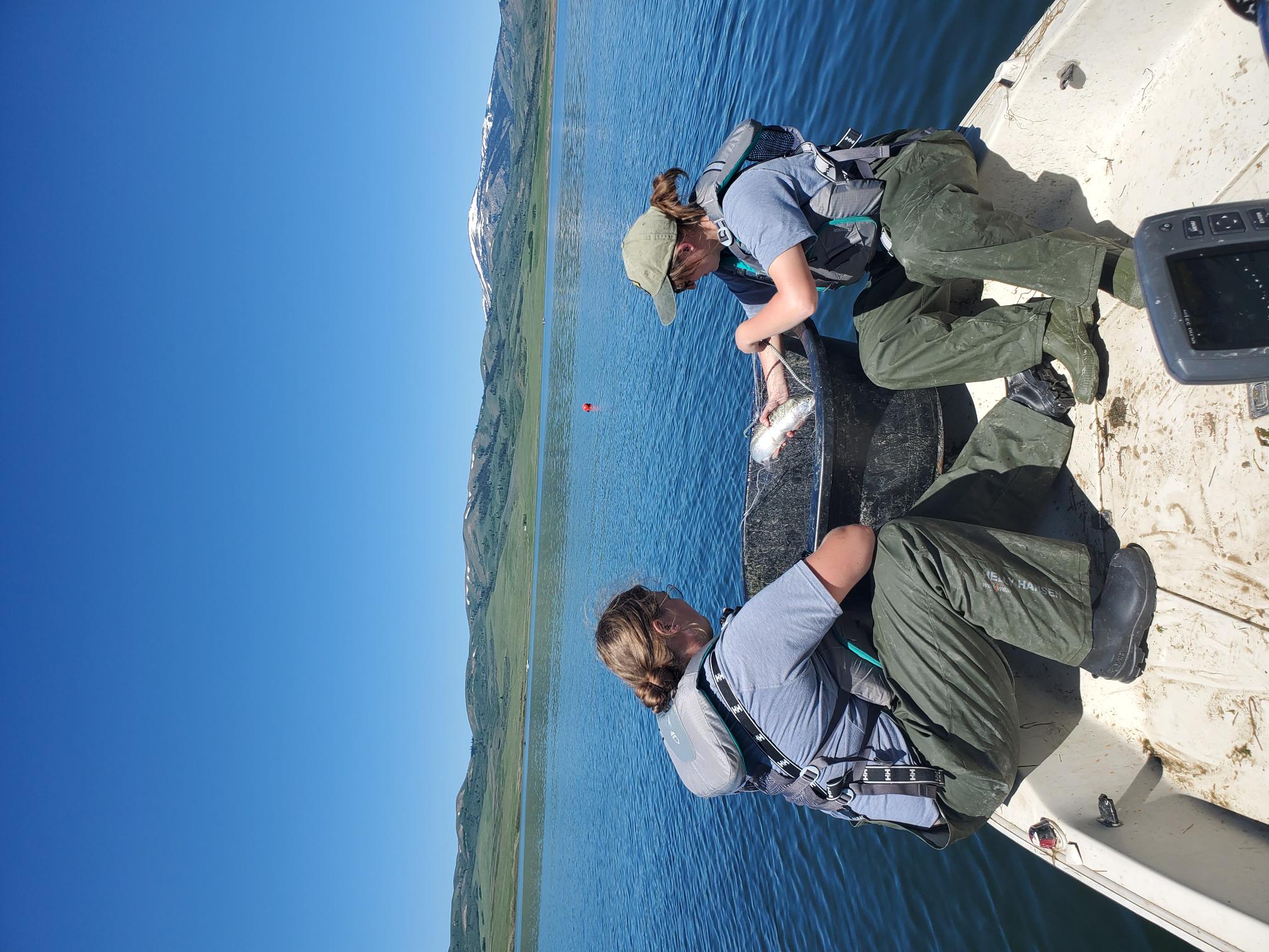 Two people in a boat floating on a very blue water body, handling fish in a large net 