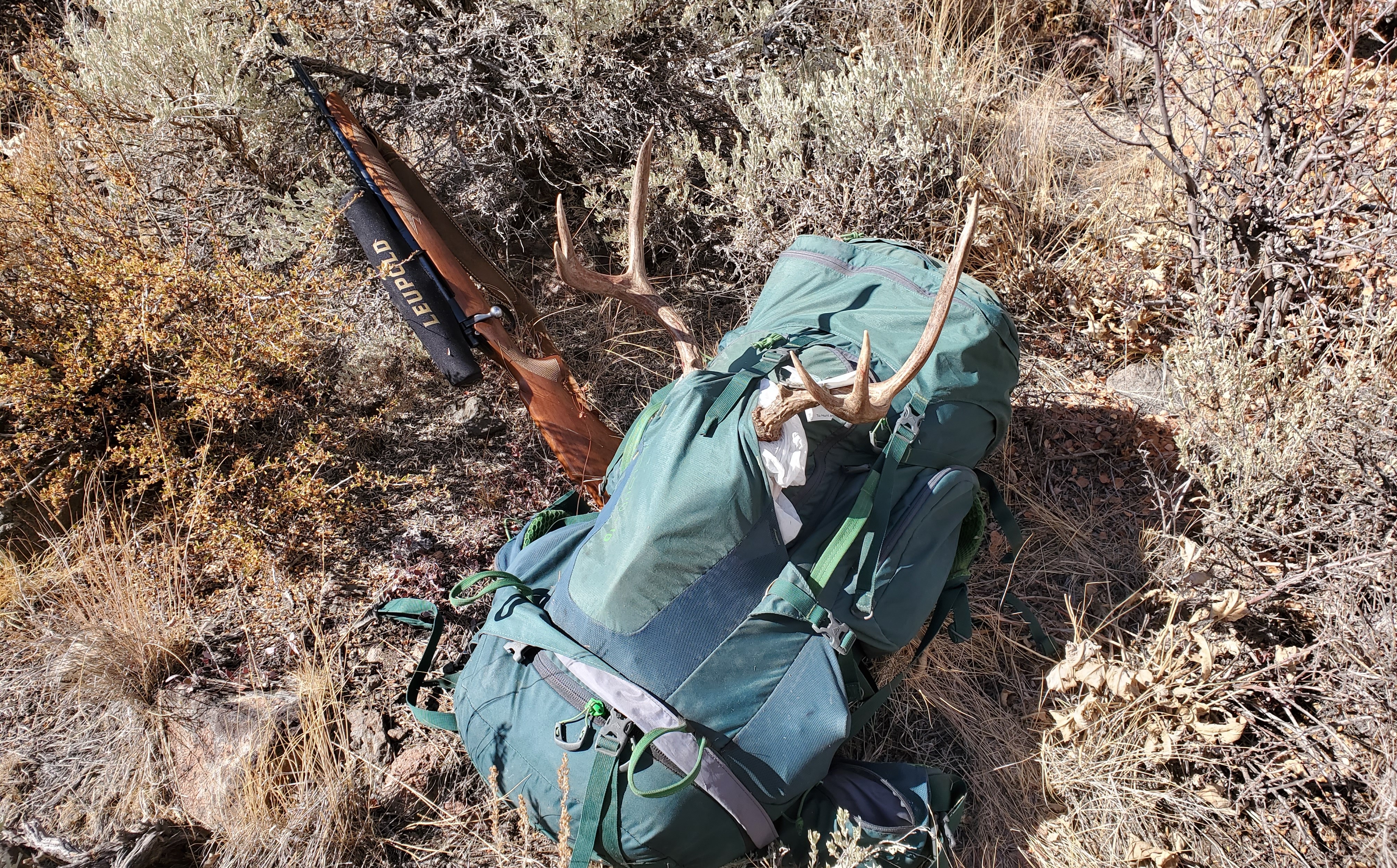 Backpack full of meat with antlers poking out lying next to a sagebrush and a hunting rifle.