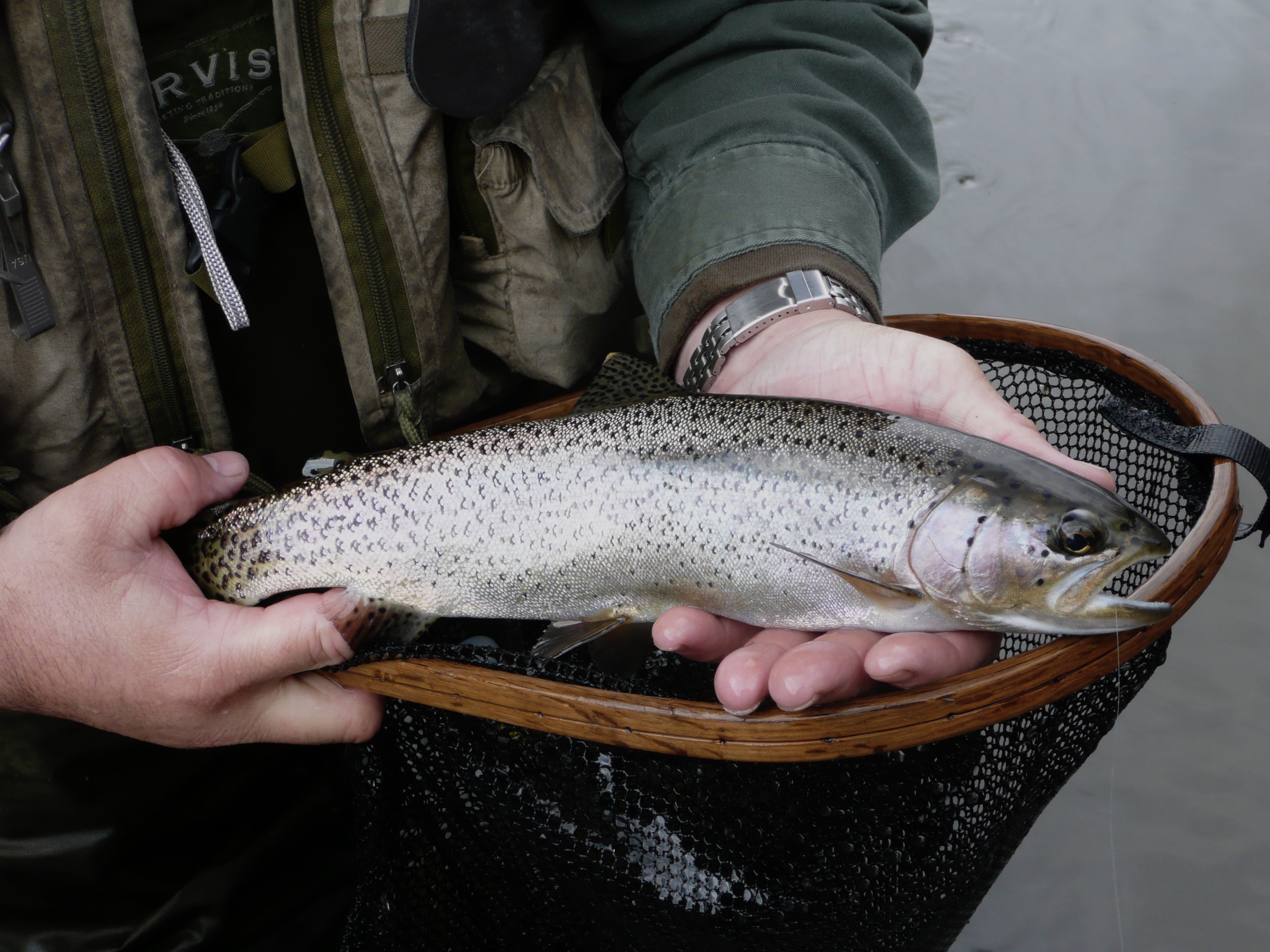 Late fall and winter can be productive for stream fishing