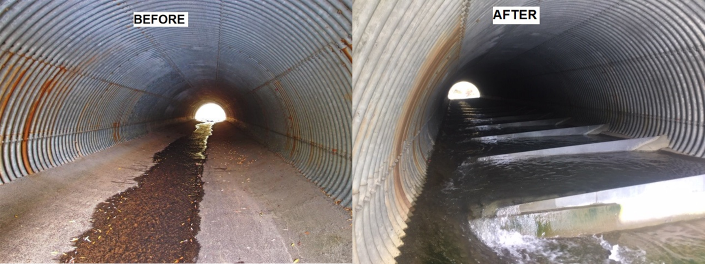 Highway 8 Culvert