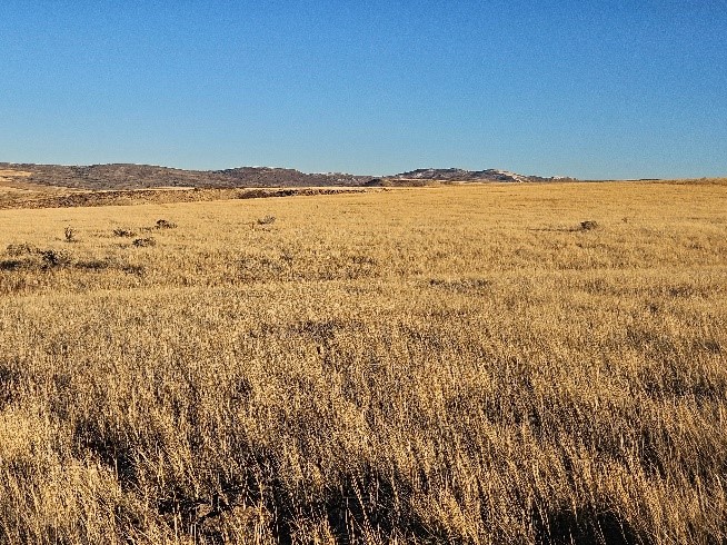 Tex Creek WMA Grassland