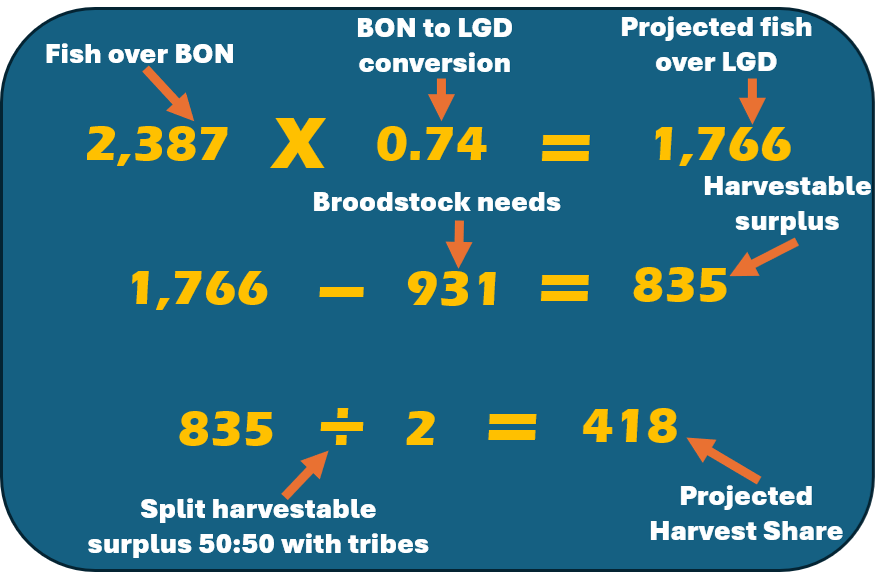 harvest share june 16