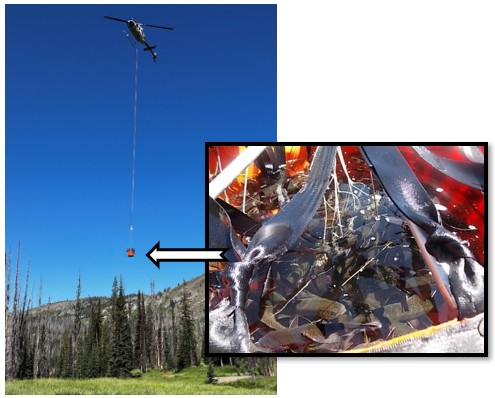 A helicopter in flight with a specialized stocking bucket handing from a cable and a look inside the bucket full of catchable-sized hatchery trout. 
