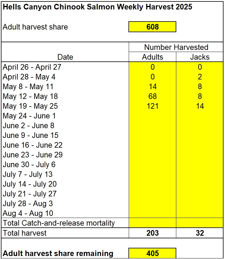 Weekly chinook harvest in Hells Canyon 5-27-25