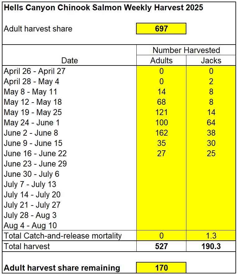 Weekly chinook harvest in Hells Canyon 6-24-25
