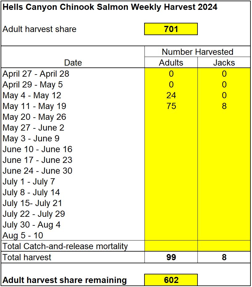 Number of chinook harvest weekly in hells canyon 5-21-24