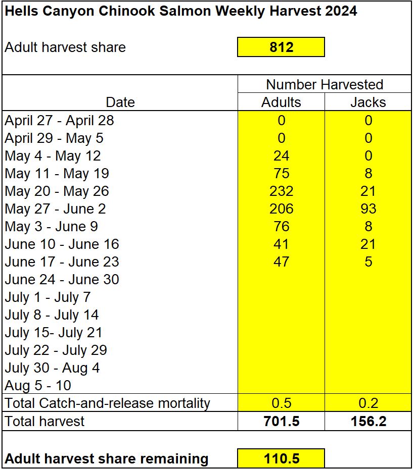 Weekly chinook harvest in Hells Canyon 6-25-24