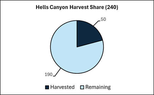 Hells Canyon